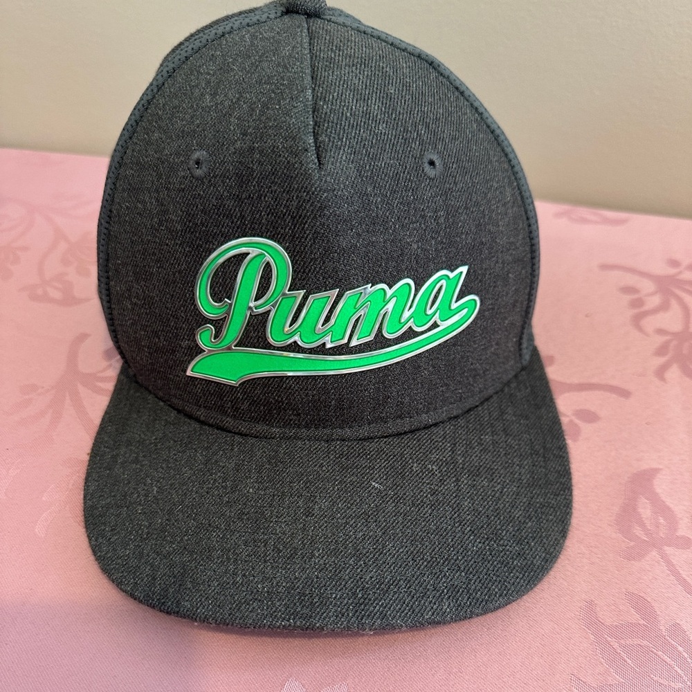 Mens Puma Dry Cell Hat